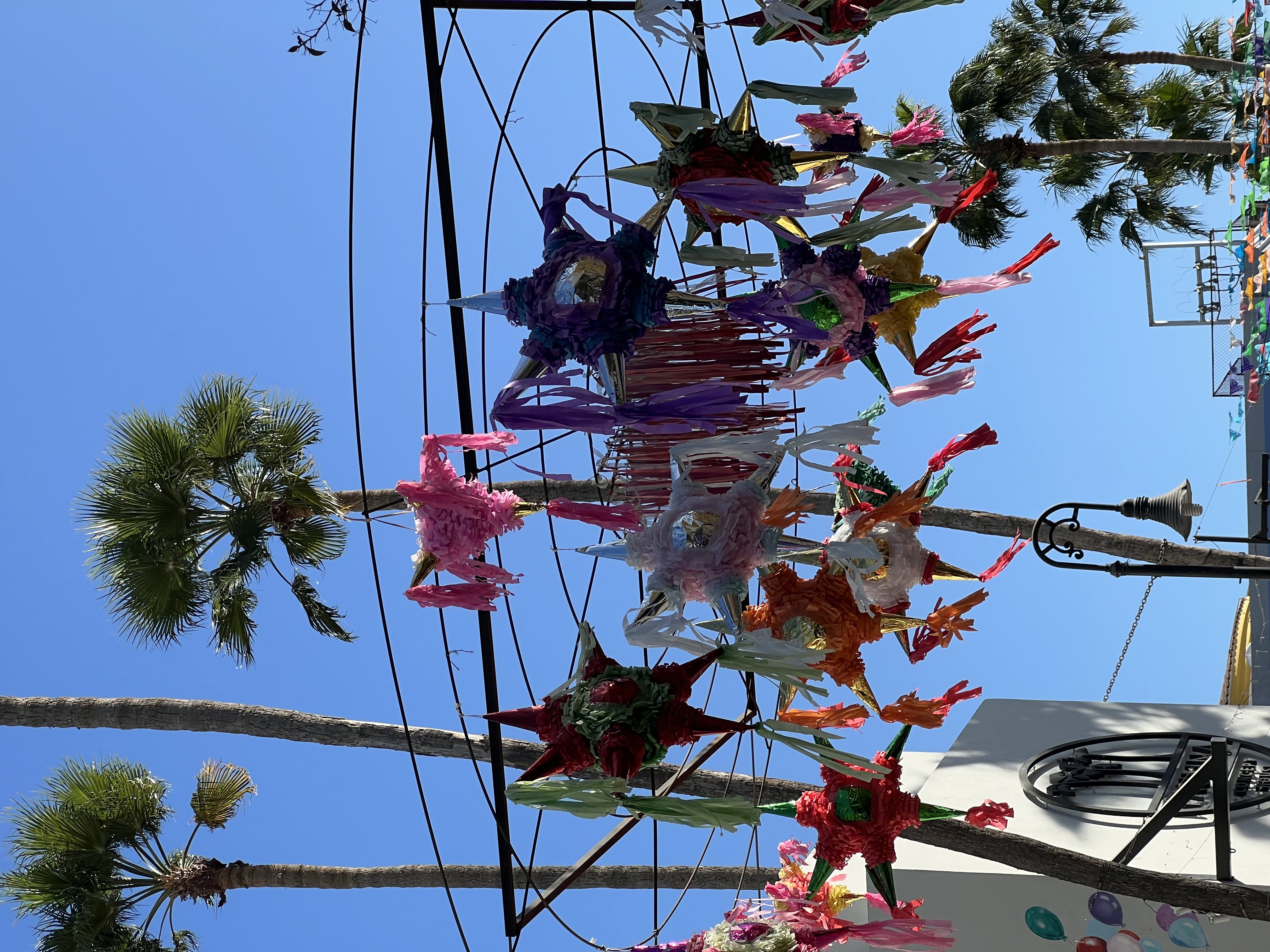 ./2024/13 - Cabo/IMG_4568.jpg